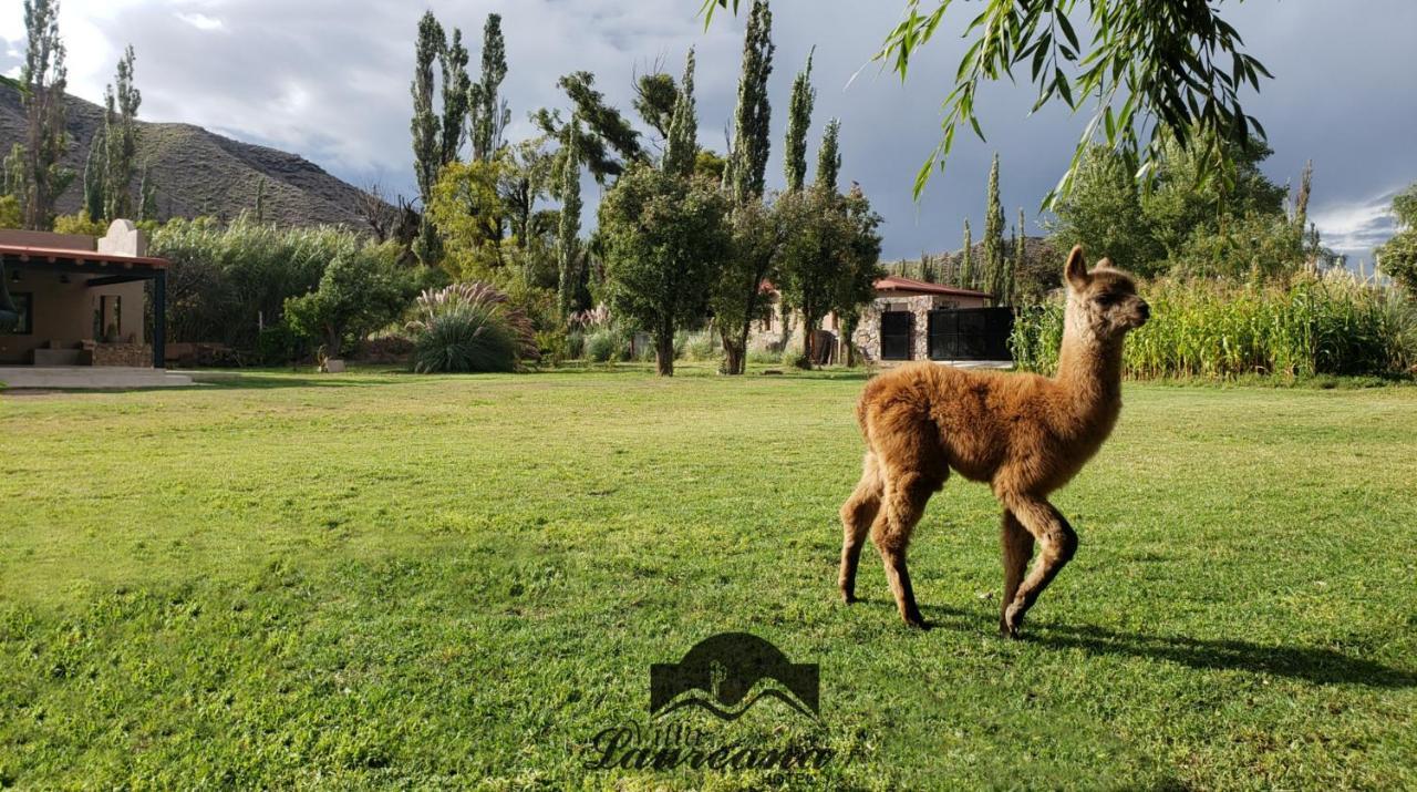 Villa Laureana هواكاليرا المظهر الخارجي الصورة